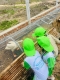 Góc thiên nhiên tại Măng Non Wonderleaf Garden